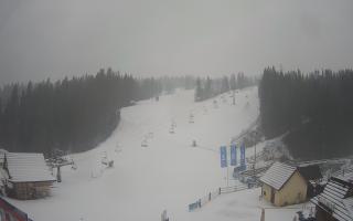 Suche ski dolna stacja - 04-12-2024 11:20