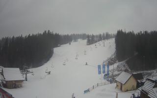 Suche ski dolna stacja - 04-12-2024 11:27