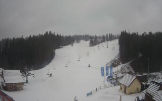 Suche ski dolna stacja - 04-12-2024 11:34