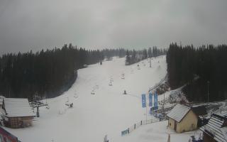 Suche ski dolna stacja - 04-12-2024 11:41