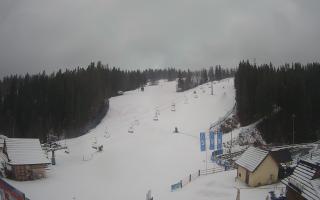 Suche ski dolna stacja - 04-12-2024 11:48