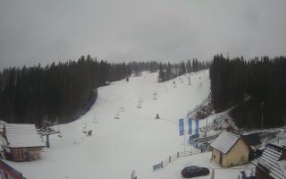 Suche ski dolna stacja - 04-12-2024 11:55