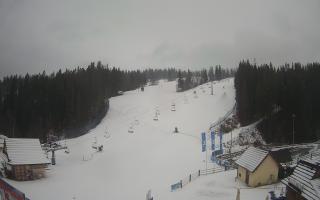 Suche ski dolna stacja - 04-12-2024 12:02