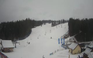 Suche ski dolna stacja - 04-12-2024 12:09