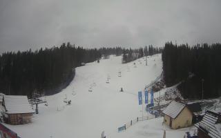 Suche ski dolna stacja - 04-12-2024 12:16