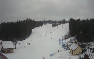 Suche ski dolna stacja - 04-12-2024 12:23