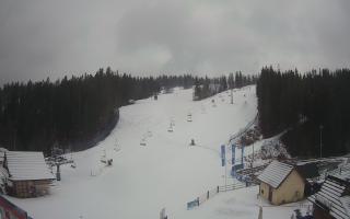 Suche ski dolna stacja - 04-12-2024 12:37