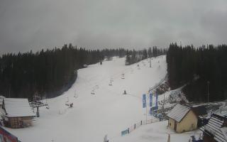 Suche ski dolna stacja - 04-12-2024 12:44