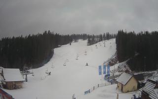 Suche ski dolna stacja - 04-12-2024 12:51