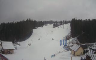 Suche ski dolna stacja - 04-12-2024 12:58