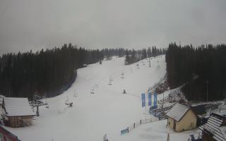 Suche ski dolna stacja - 04-12-2024 13:12