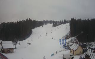 Suche ski dolna stacja - 04-12-2024 13:19