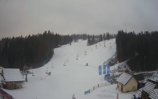 Suche ski dolna stacja - 04-12-2024 13:26