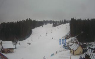 Suche ski dolna stacja - 04-12-2024 13:33