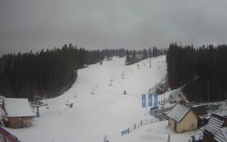 Suche ski dolna stacja - 04-12-2024 13:40