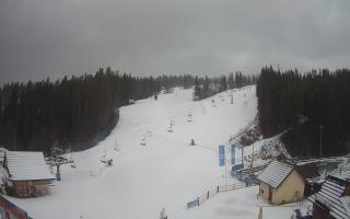 Suche ski dolna stacja - 04-12-2024 13:47