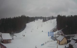 Suche ski dolna stacja - 04-12-2024 13:54