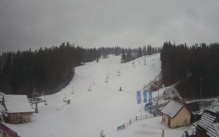 Suche ski dolna stacja - 04-12-2024 14:01