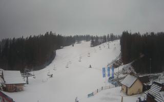 Suche ski dolna stacja - 04-12-2024 14:09