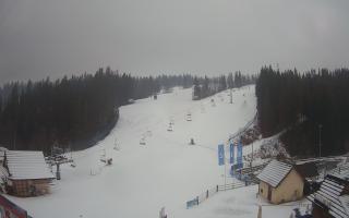 Suche ski dolna stacja - 04-12-2024 14:16