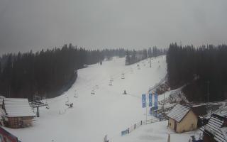 Suche ski dolna stacja - 04-12-2024 14:23