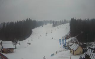 Suche ski dolna stacja - 04-12-2024 14:37