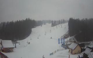 Suche ski dolna stacja - 04-12-2024 14:44