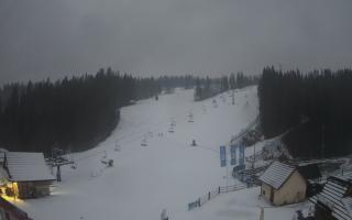 Suche ski dolna stacja - 04-12-2024 15:12