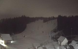 Suche ski dolna stacja - 04-12-2024 15:54