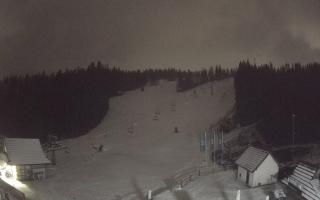 Suche ski dolna stacja - 04-12-2024 17:26