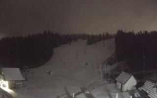 Suche ski dolna stacja - 04-12-2024 18:50