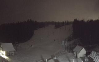 Suche ski dolna stacja - 04-12-2024 22:56