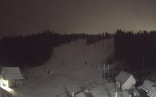 Suche ski dolna stacja - 05-12-2024 01:17