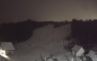 Suche ski dolna stacja - 05-12-2024 01:24