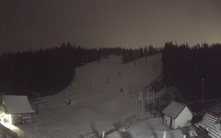 Suche ski dolna stacja - 05-12-2024 01:52