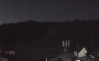 Suche ski dolna stacja - 03-05-2025 02:07