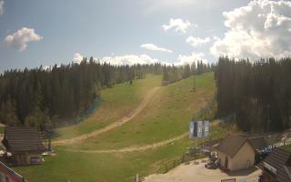 Suche ski dolna stacja - 03-05-2025 10:06