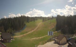 Suche ski dolna stacja - 03-05-2025 10:34