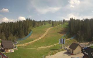 Suche ski dolna stacja - 03-05-2025 13:16