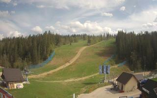 Suche ski dolna stacja - 03-05-2025 13:44