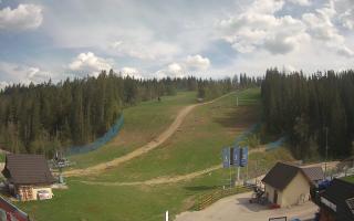 Suche ski dolna stacja - 03-05-2025 13:51