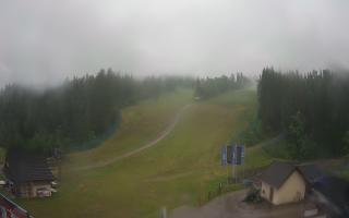 Suche ski dolna stacja - 16-06-2025 16:10
