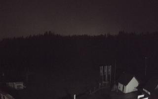Suche ski dolna stacja - 16-06-2025 23:20