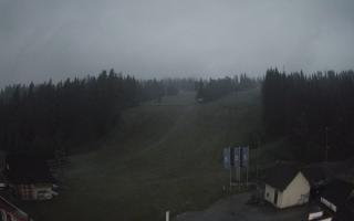 Suche ski dolna stacja - 17-06-2025 02:02