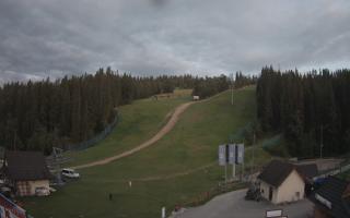 Suche ski dolna stacja - 01-08-2025 18:46