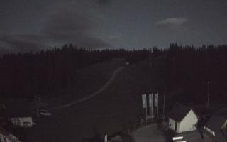 Suche ski dolna stacja - 01-08-2025 19:21