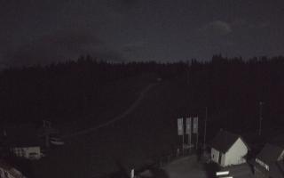 Suche ski dolna stacja - 01-08-2025 19:28