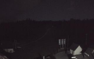 Suche ski dolna stacja - 01-08-2025 19:35