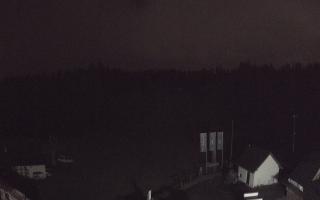 Suche ski dolna stacja - 01-08-2025 22:52
