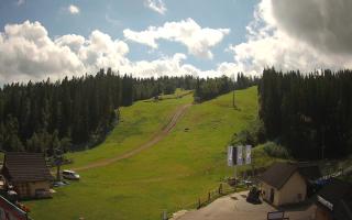 Suche ski dolna stacja - 02-08-2025 09:26